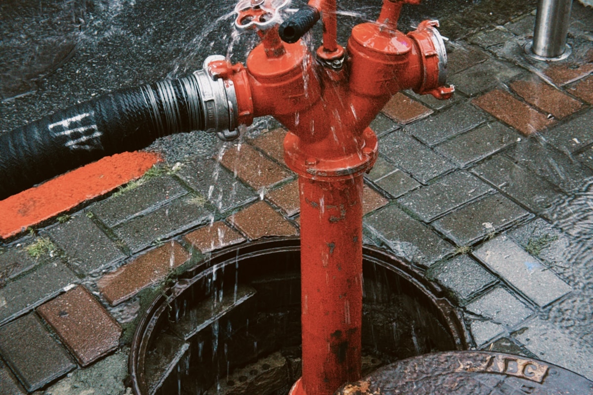 Basement Water Removal service in St. Cloud, FL